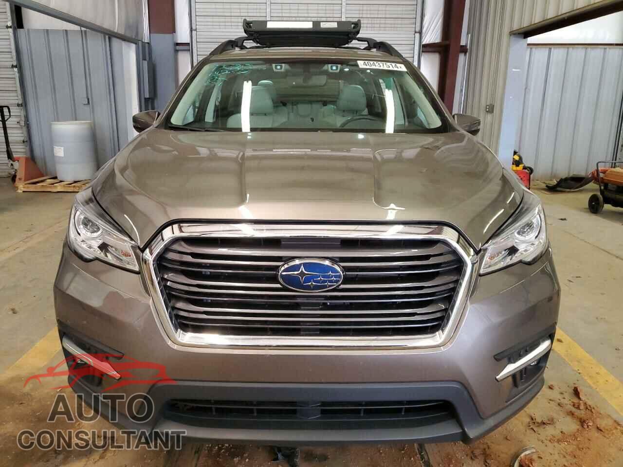 SUBARU ASCENT 2021 - 4S4WMAPD6M3460342