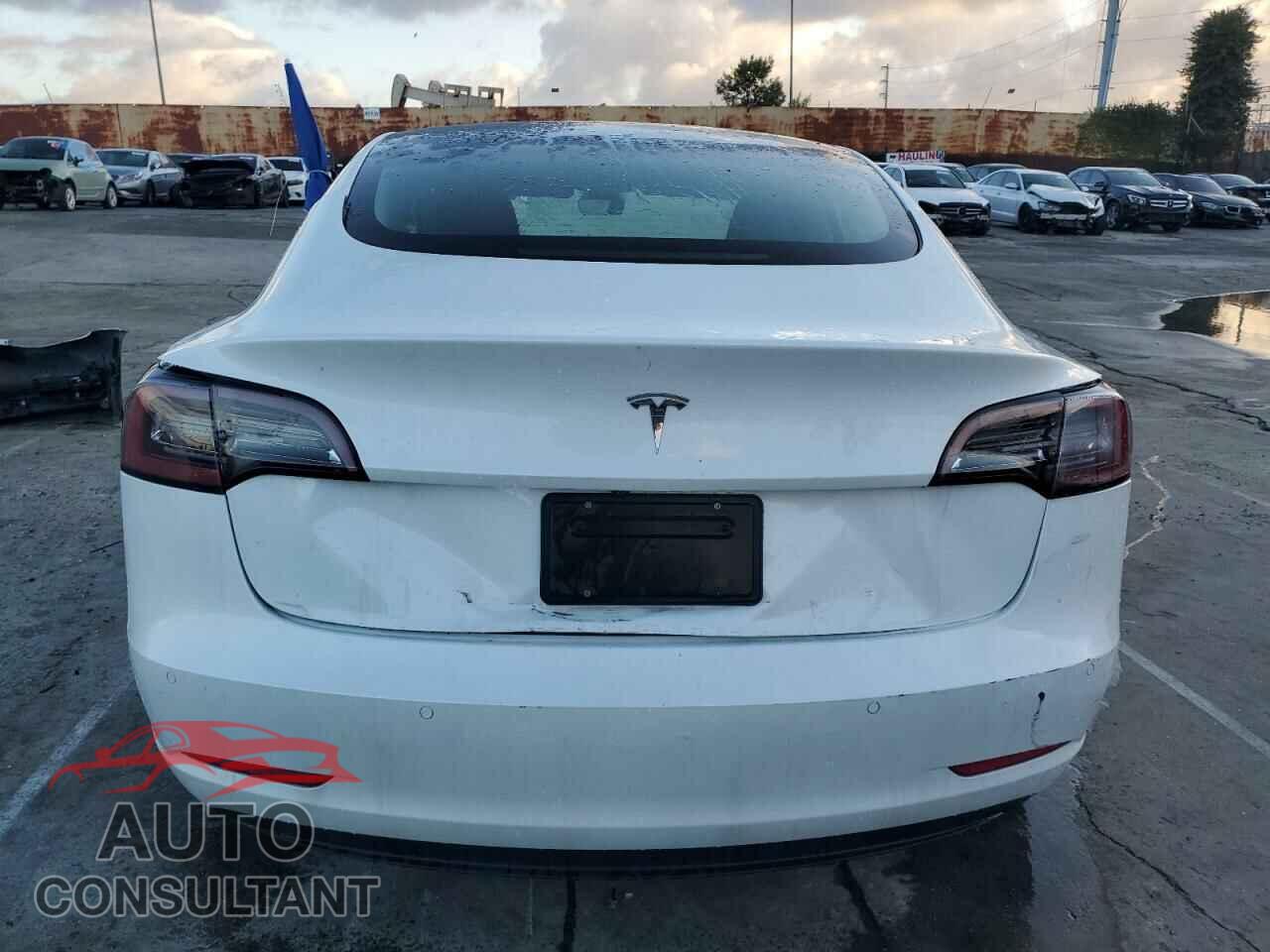 TESLA MODEL 3 2022 - 5YJ3E1EB3NF144455