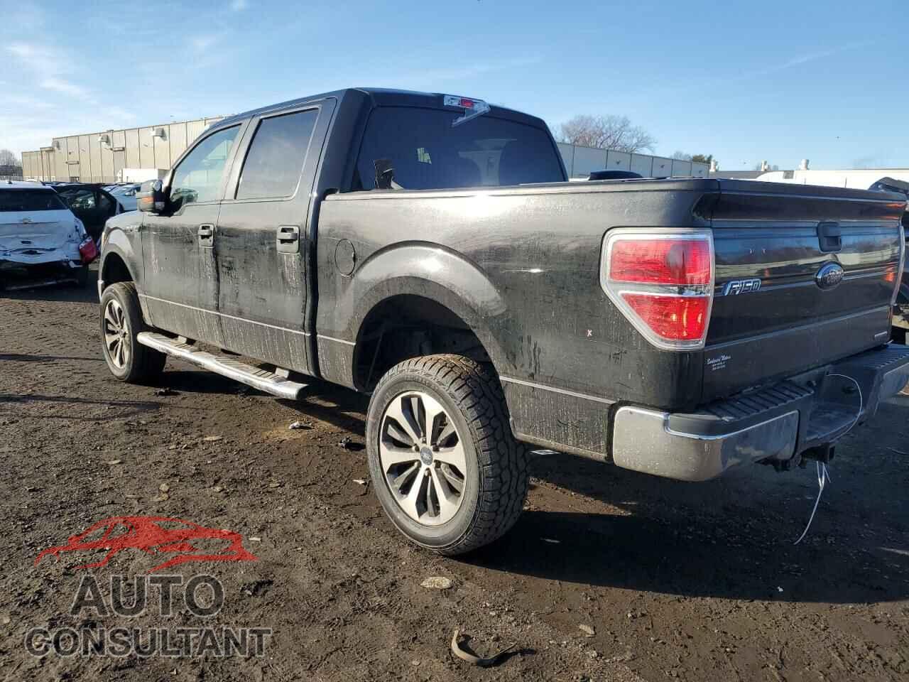 FORD F-150 2012 - 1FTEW1CM2CFB29092