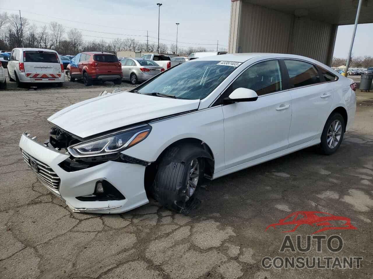 HYUNDAI SONATA 2019 - 5NPE24AF4KH784473