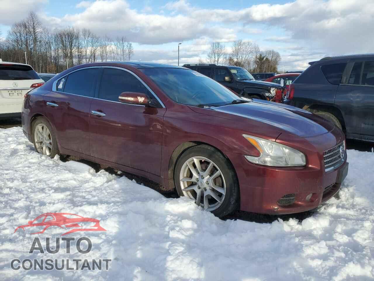 NISSAN MAXIMA 2011 - 1N4AA5AP9BC824516