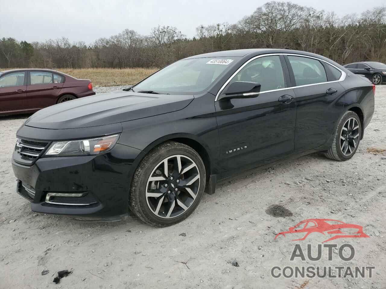 CHEVROLET IMPALA 2019 - 2G11Z5S35K9102796