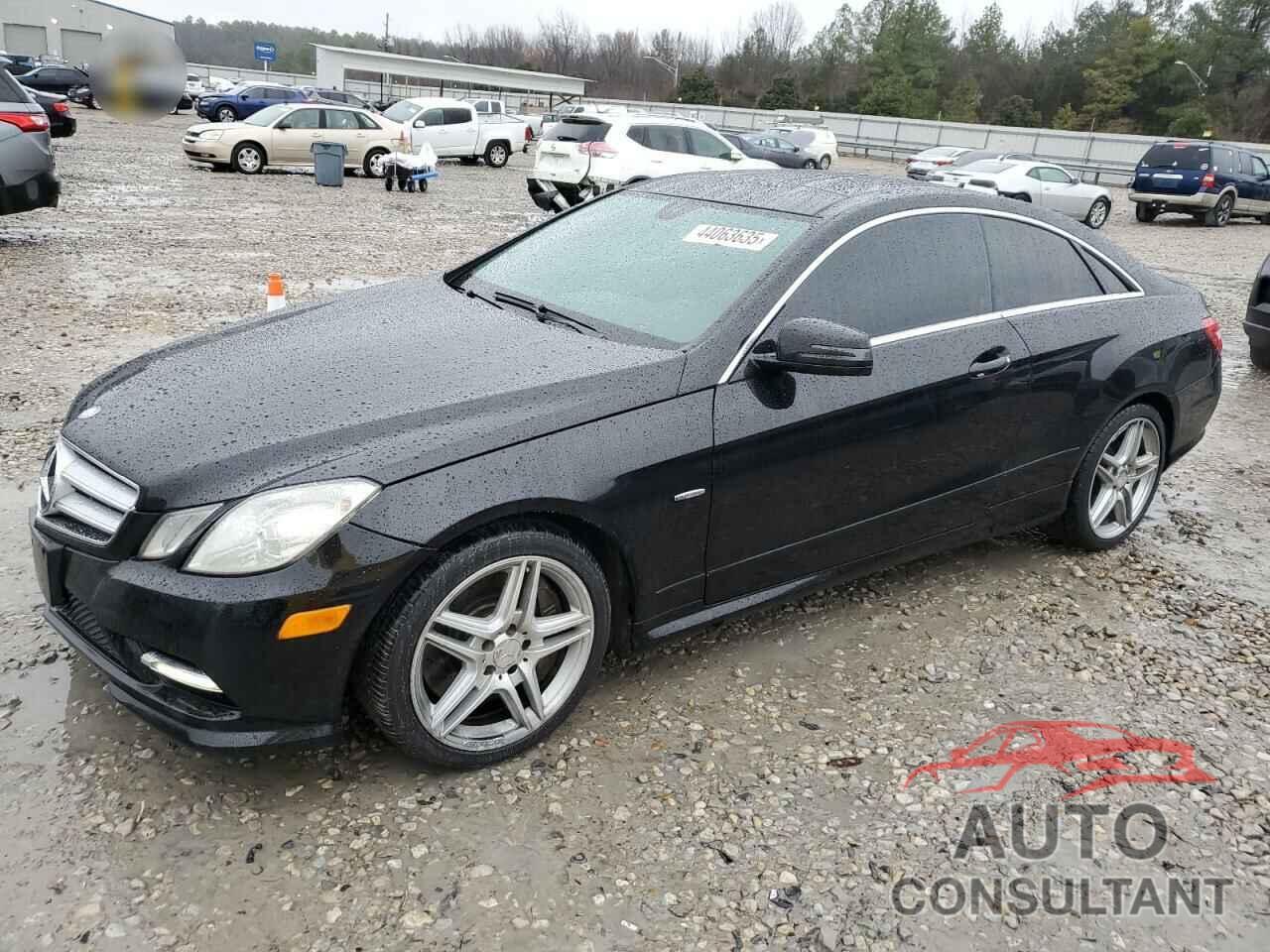 MERCEDES-BENZ E-CLASS 2012 - WDDKJ7DB3CF149584