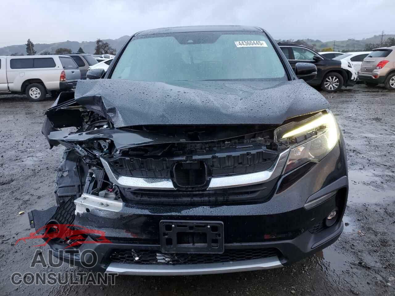HONDA PILOT 2019 - 5FNYF5H58KB036456