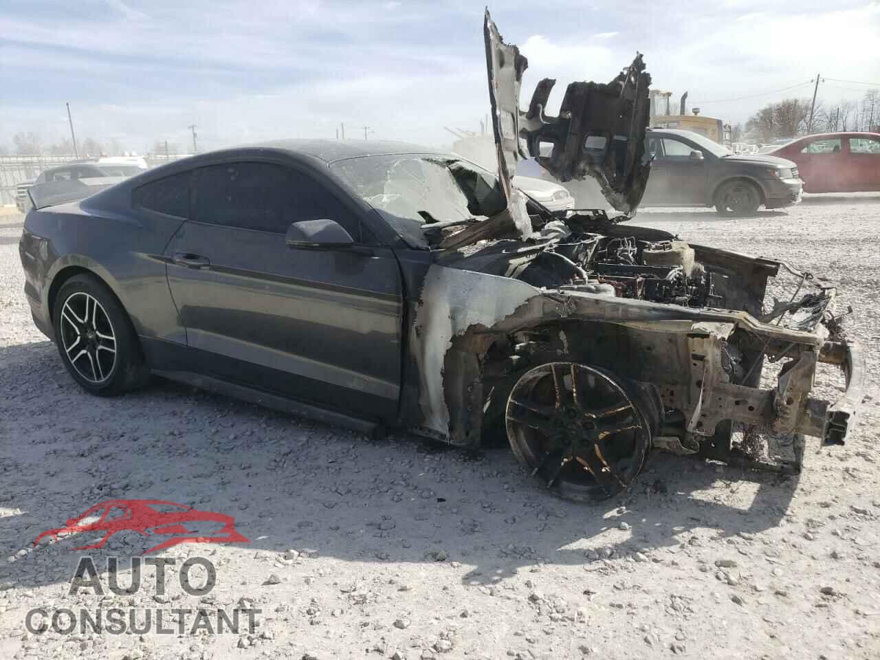 FORD MUSTANG 2019 - 1FA6P8CF1K5178192