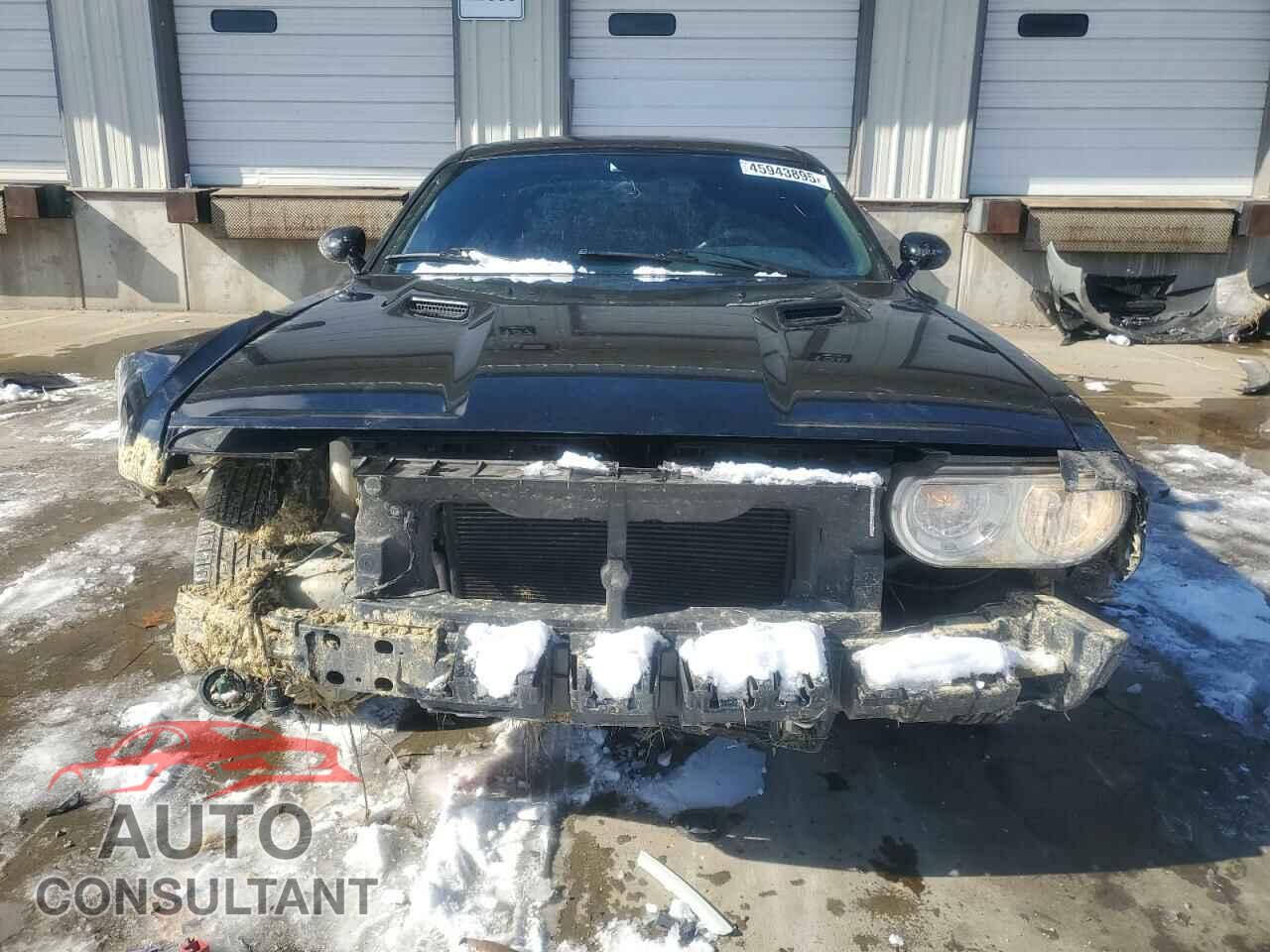 DODGE CHALLENGER 2013 - 2C3CDYAG3DH581589