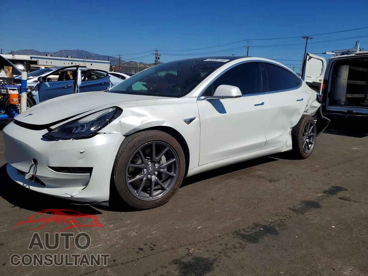 TESLA MODEL 3 2019 - 5YJ3E1EA5KF190517