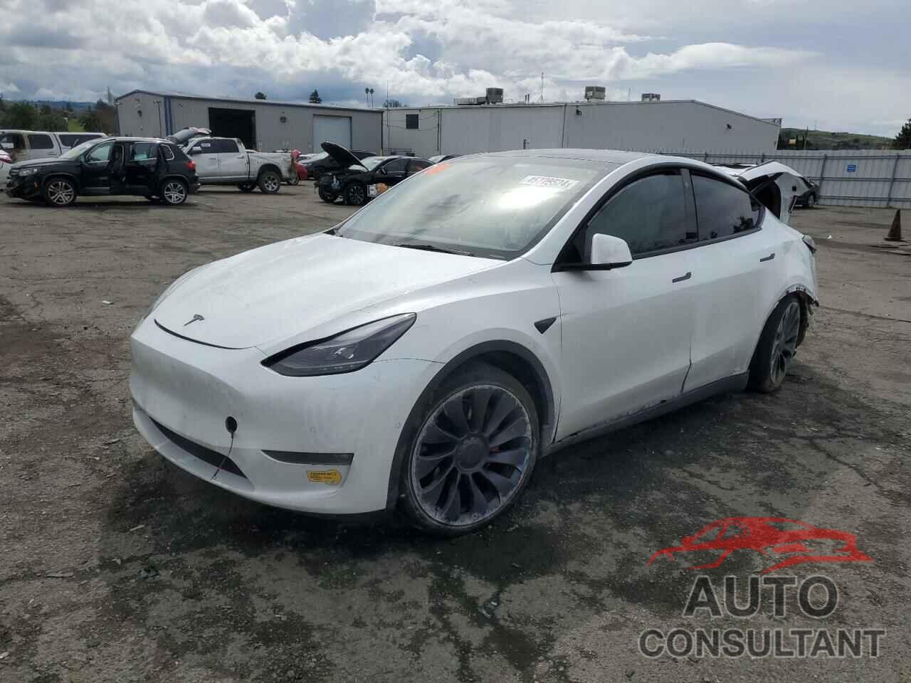 TESLA MODEL Y 2022 - 7SAYGDEF2NF488608