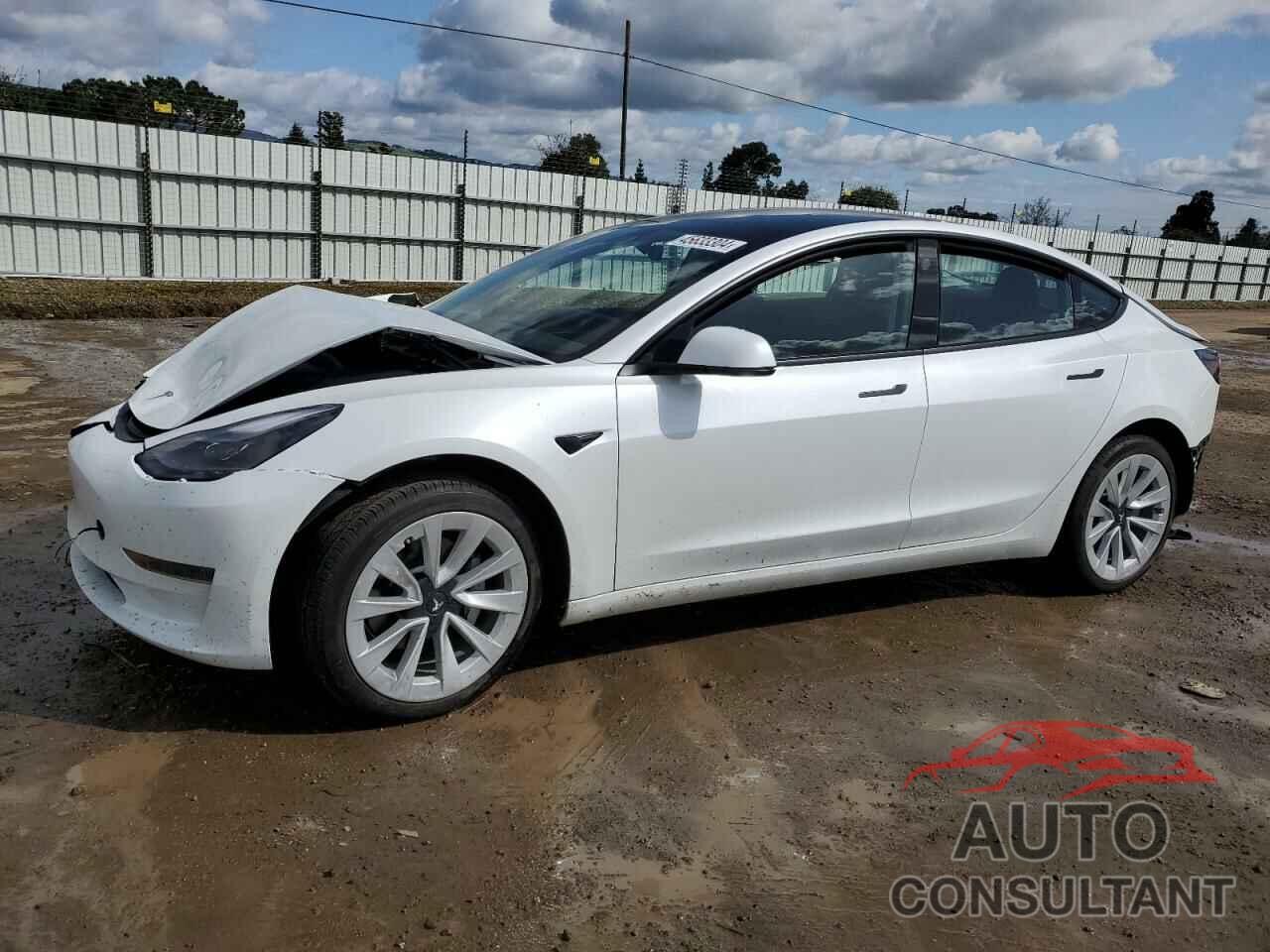 TESLA MODEL 3 2022 - 5YJ3E1EA8NF300786