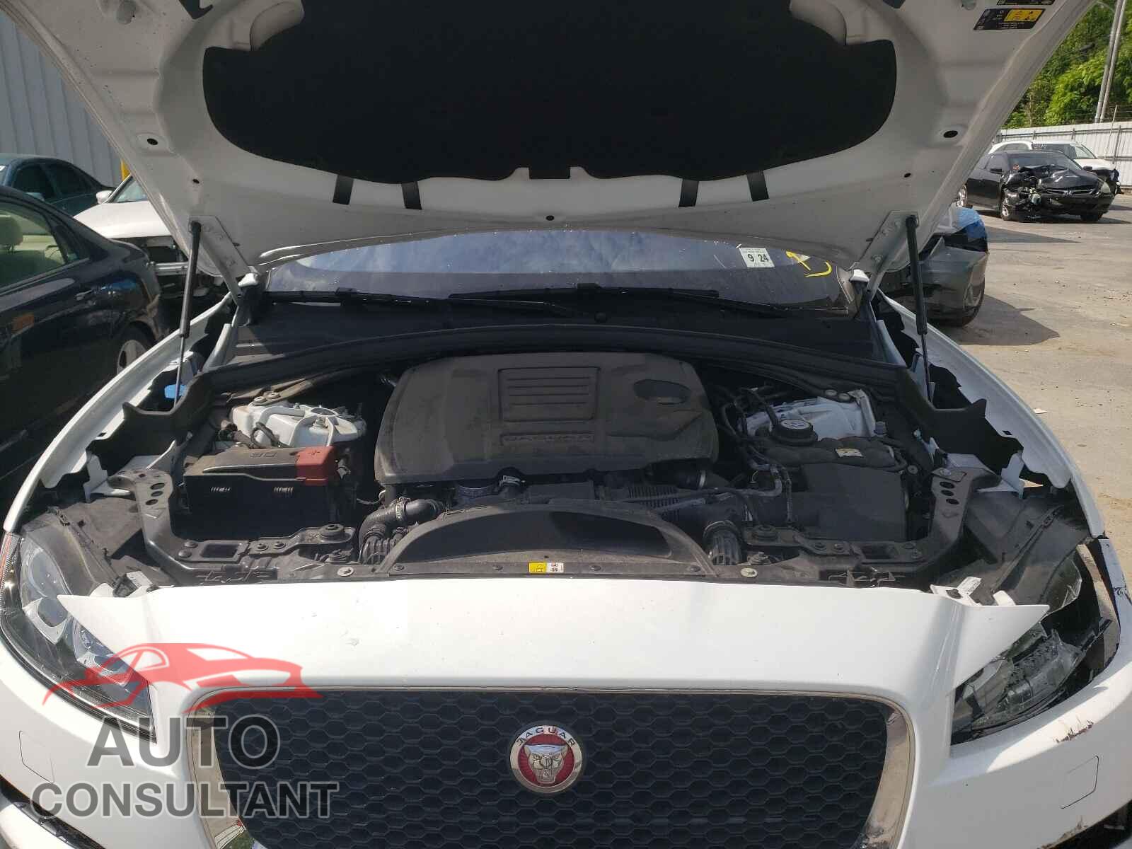 JAGUAR F-PACE 2020 - SADCK2FX5LA627903