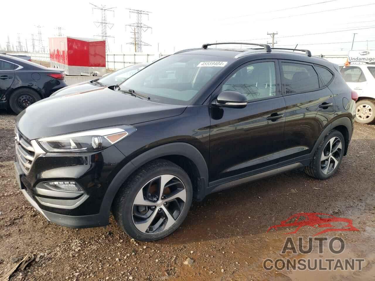 HYUNDAI TUCSON 2016 - KM8J3CA26GU254095