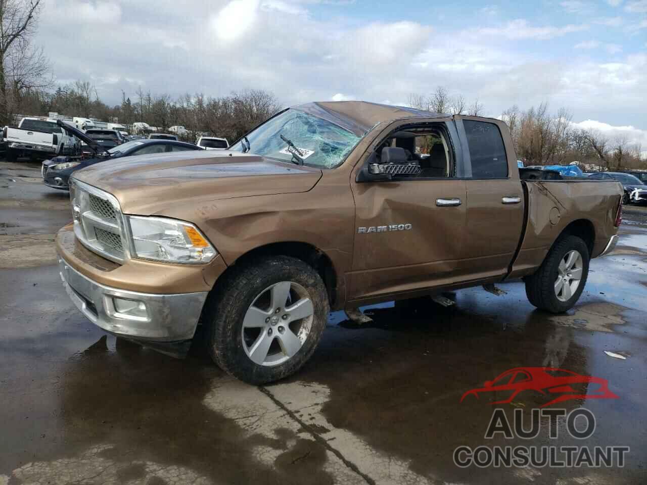 DODGE All Models 2011 - 1D7RV1GPXBS608784