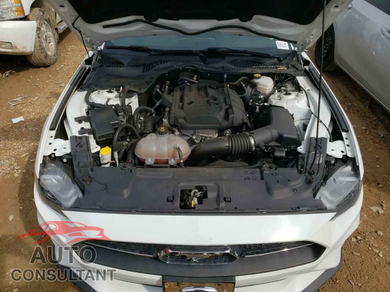 FORD MUSTANG 2019 - 1FA6P8TH1K5142133