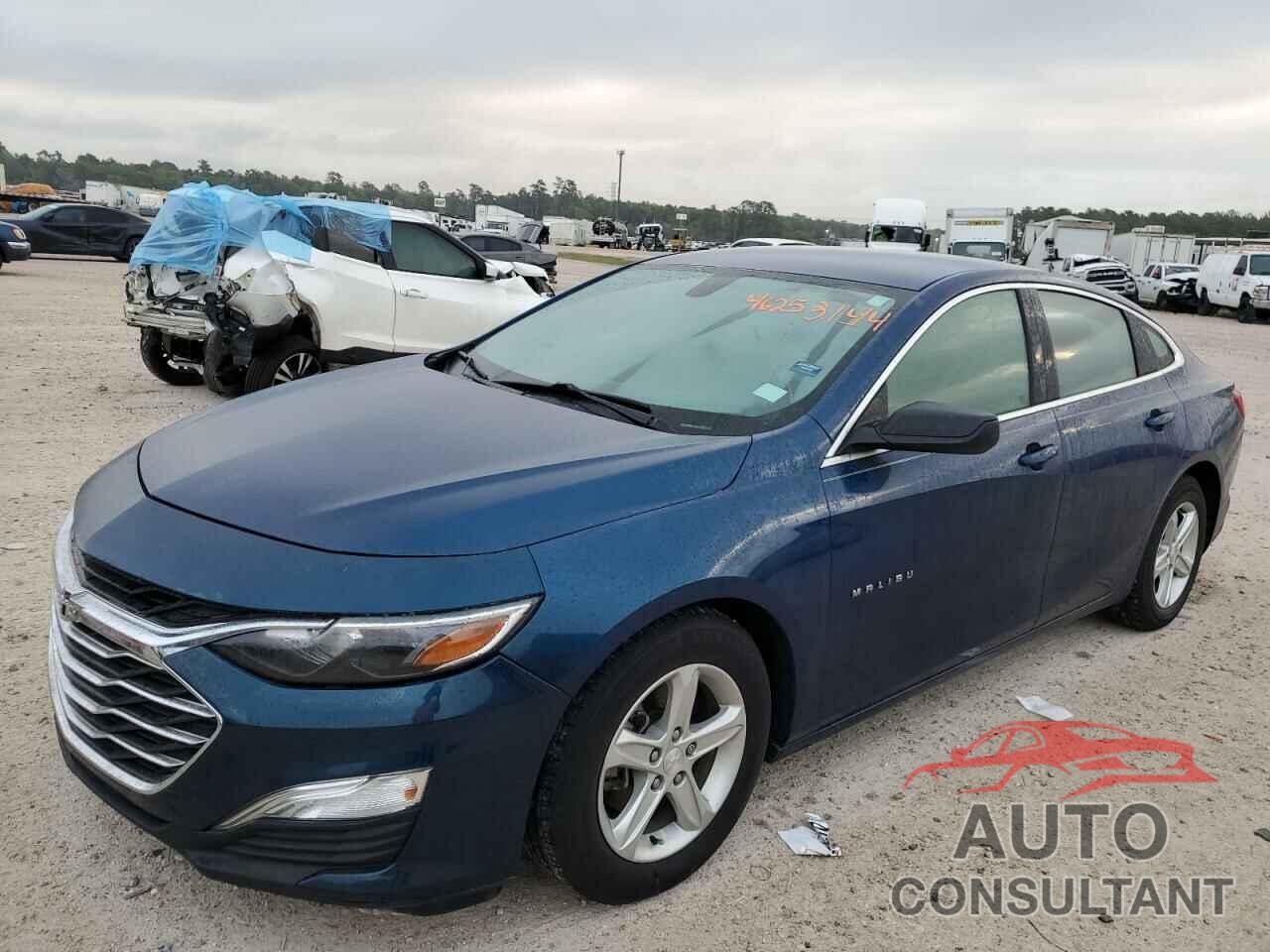 CHEVROLET MALIBU 2019 - 1G1ZB5ST0KF199341