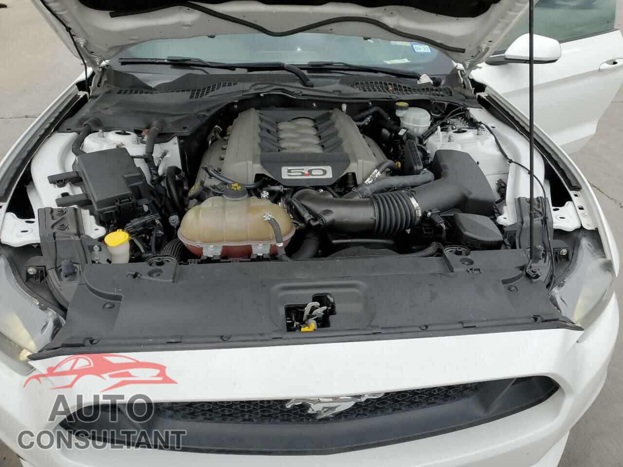 FORD MUSTANG 2017 - 1FA6P8CF7H5228859