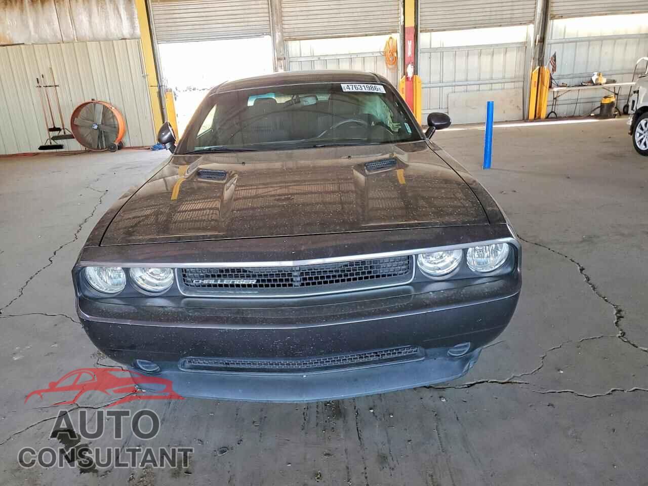 DODGE CHALLENGER 2013 - 2C3CDYAG4DH581987