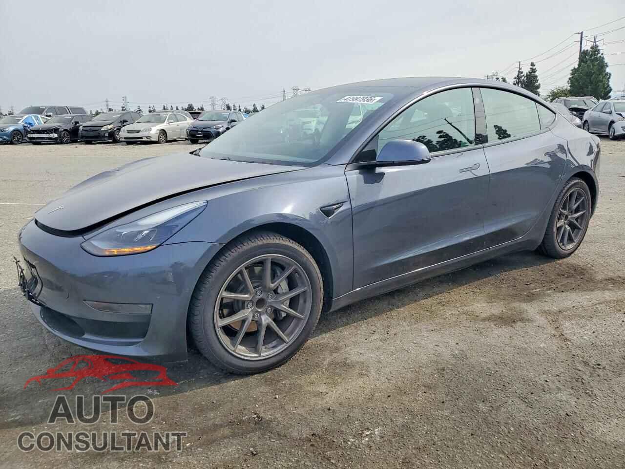TESLA MODEL 3 2021 - 5YJ3E1EA2MF939325