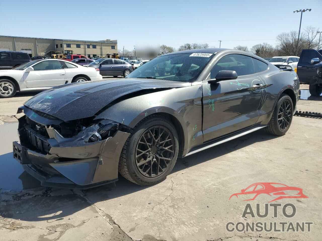 FORD ALL Models 2019 - 1FA6P8TH5K5204262