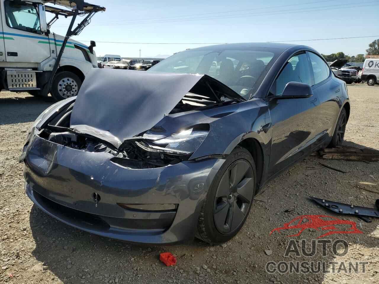 TESLA MODEL 3 2021 - 5YJ3E1EA5MF929775