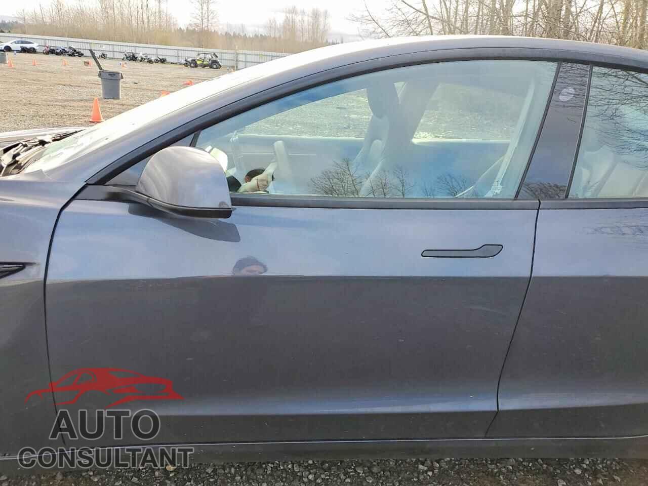 TESLA MODEL 3 2022 - 5YJ3E1EA7NF304666