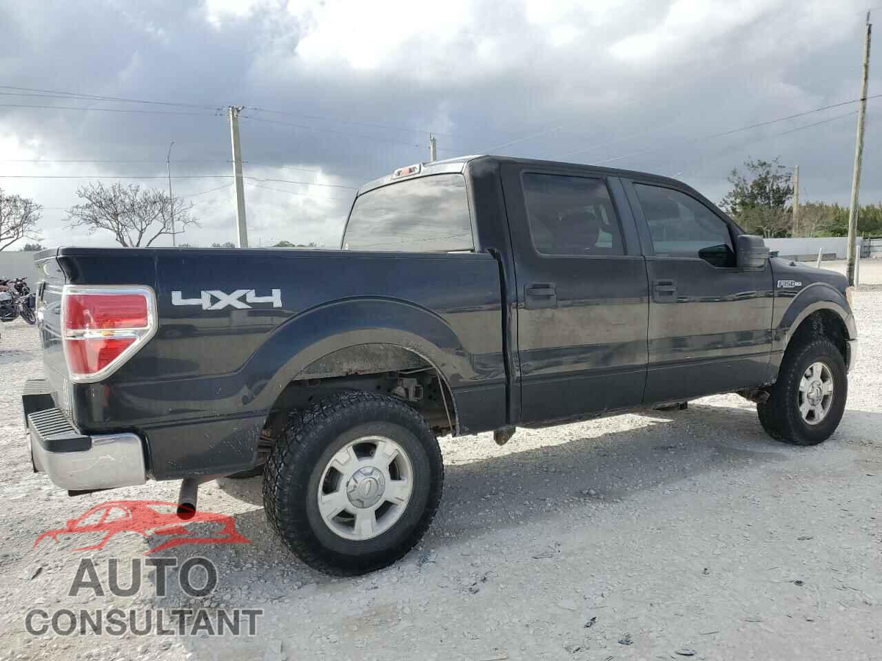 FORD F-150 2010 - 1FTEW1E85AFC11248
