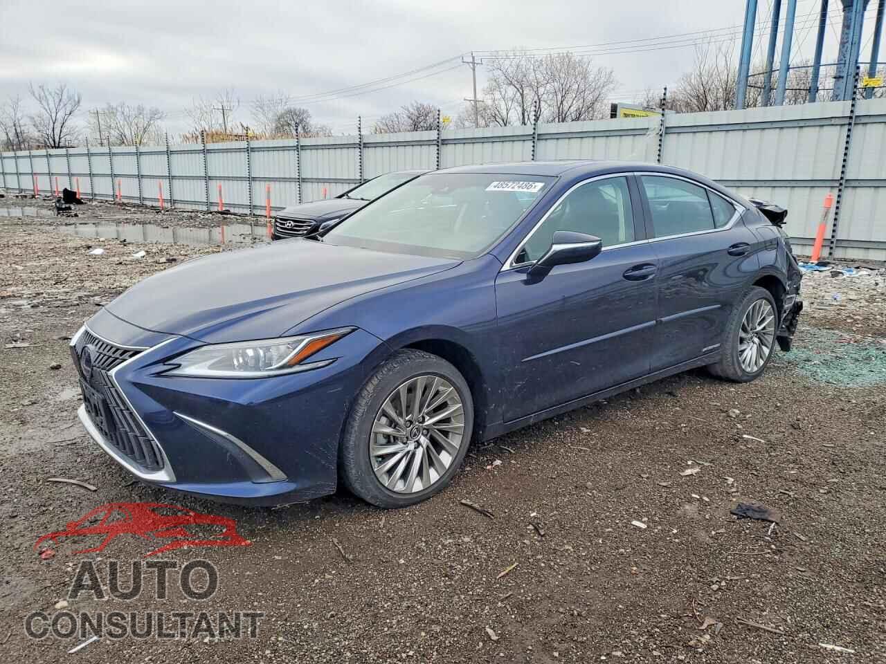LEXUS ES300 2022 - 58AEA1C19NU021009