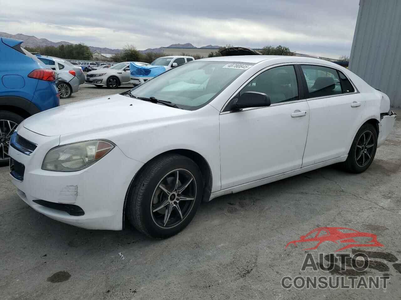 CHEVROLET MALIBU 2010 - 1G1ZA5E07AF318568