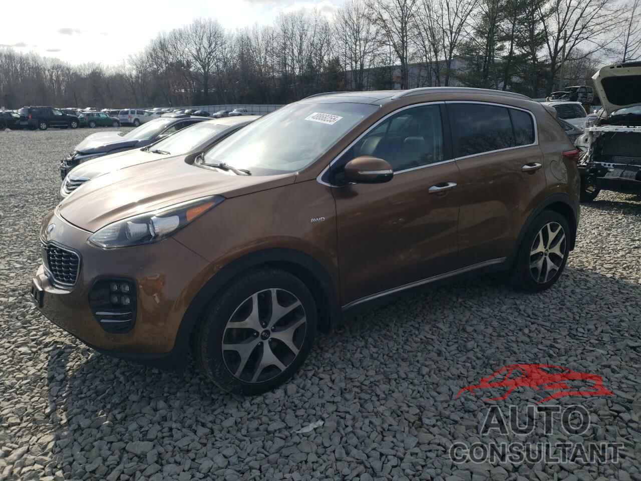 KIA SPORTAGE 2017 - KNDPRCA66H7093618