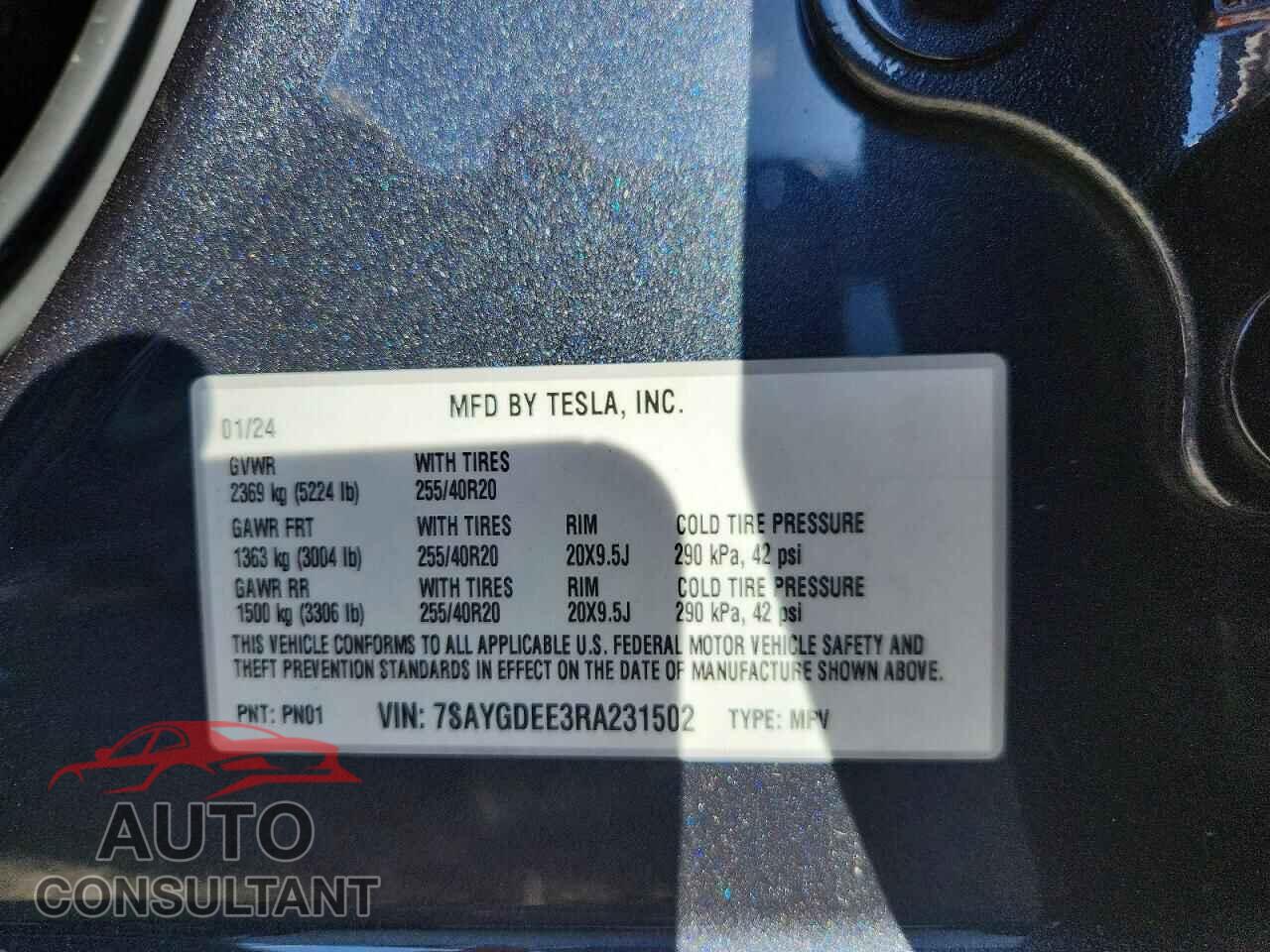 TESLA MODEL Y 2024 - 7SAYGDEE3RA231502