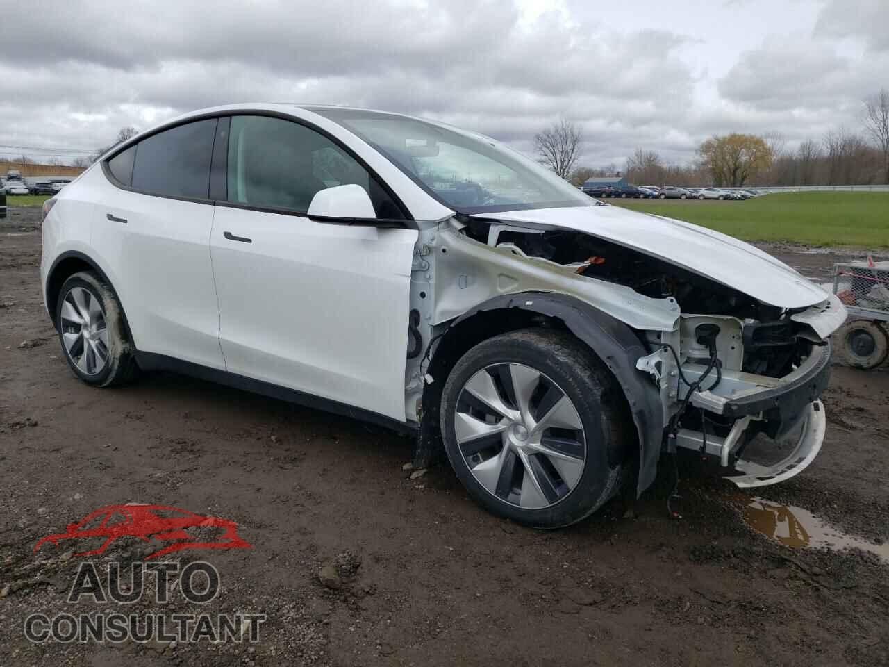 TESLA MODEL Y 2021 - 5YJYGDEEXMF210946