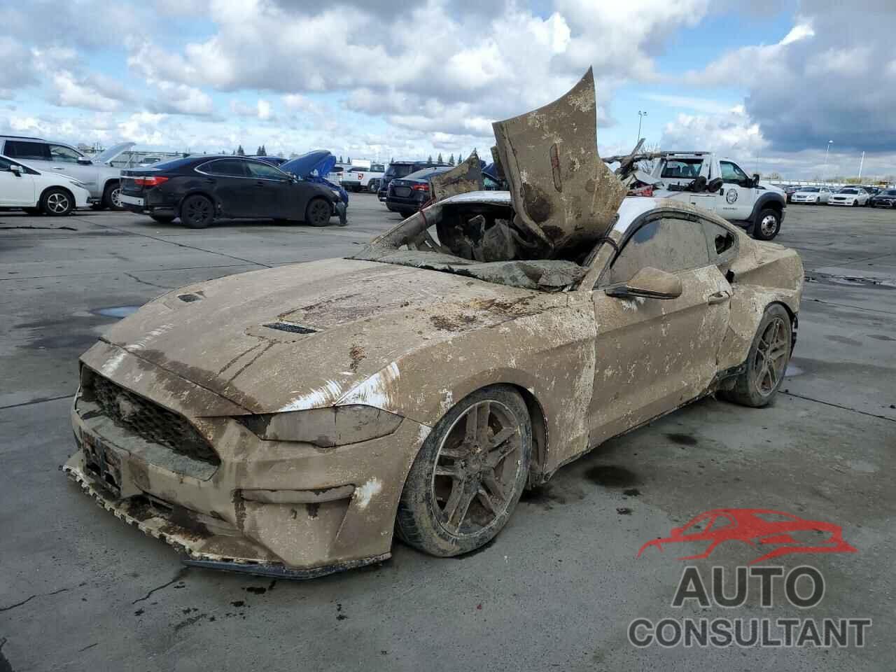 FORD ALL Models 2021 - 1FA6P8TH6M5105940