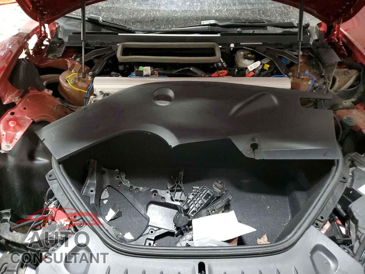 TESLA MODEL S 2024 - 5YJSA1E66RF538449