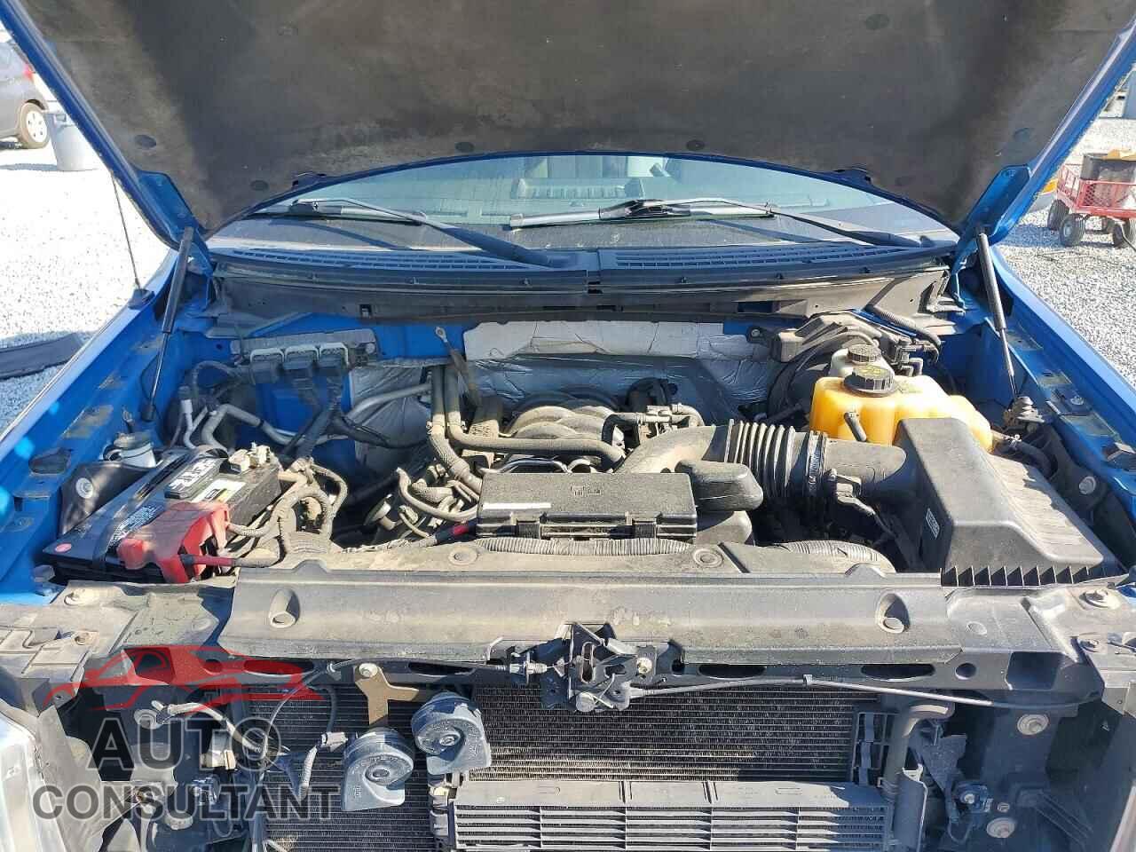 FORD F150 2013 - 1FTFW1EF7DFD43385