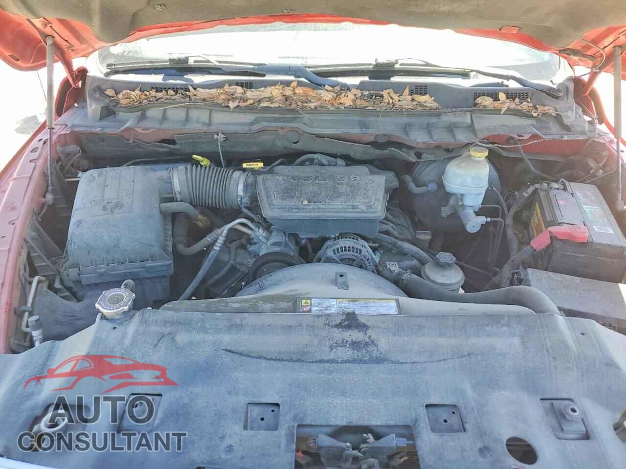 DODGE All Models 2010 - 1D7RB1CP0AS173335