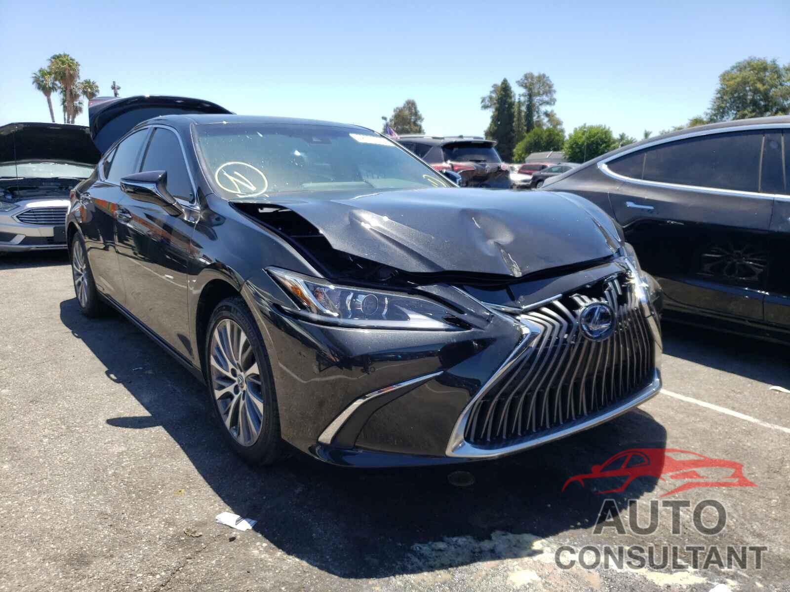 LEXUS ES300 2021 - 58ADA1C16MU004940