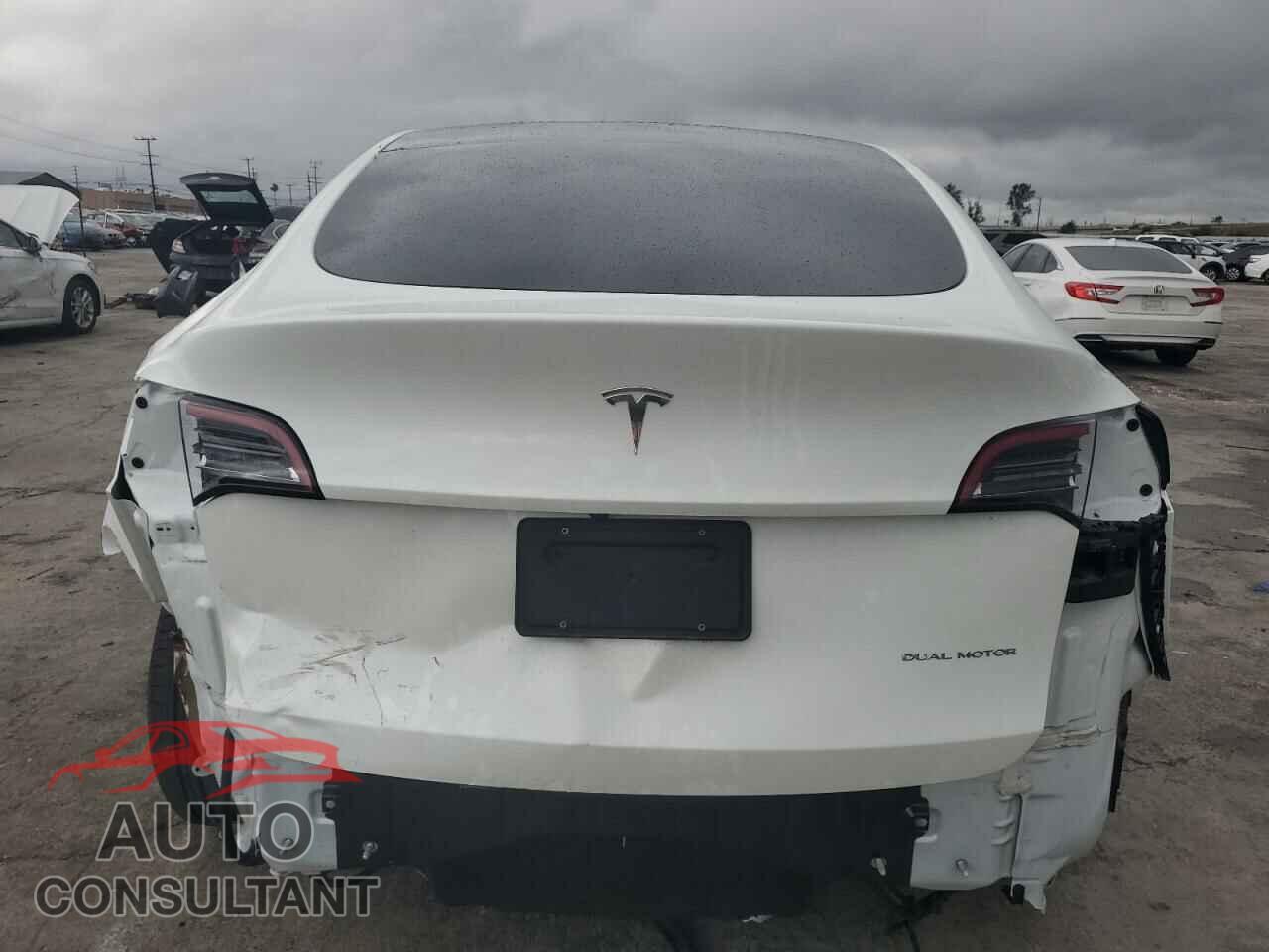 TESLA MODEL Y 2022 - 7SAYGAEEXNF493710