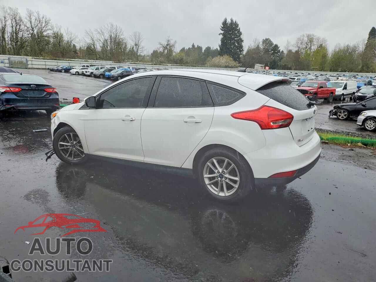 FORD FOCUS 2017 - 1FADP3K20HL246544
