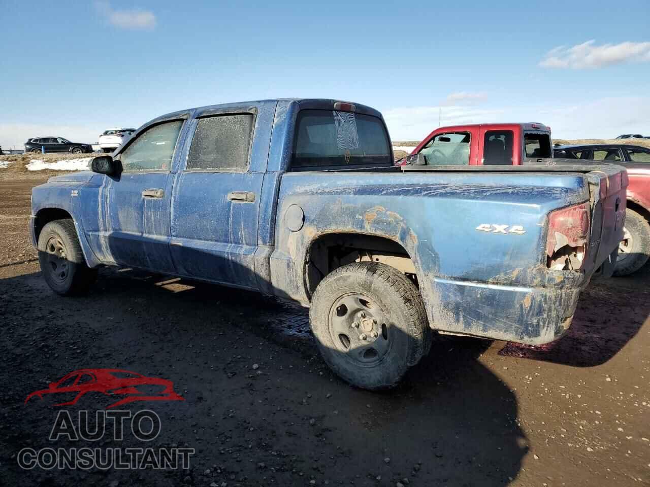 DODGE DAKOTA 2011 - 1D7RW3GP6BS683006