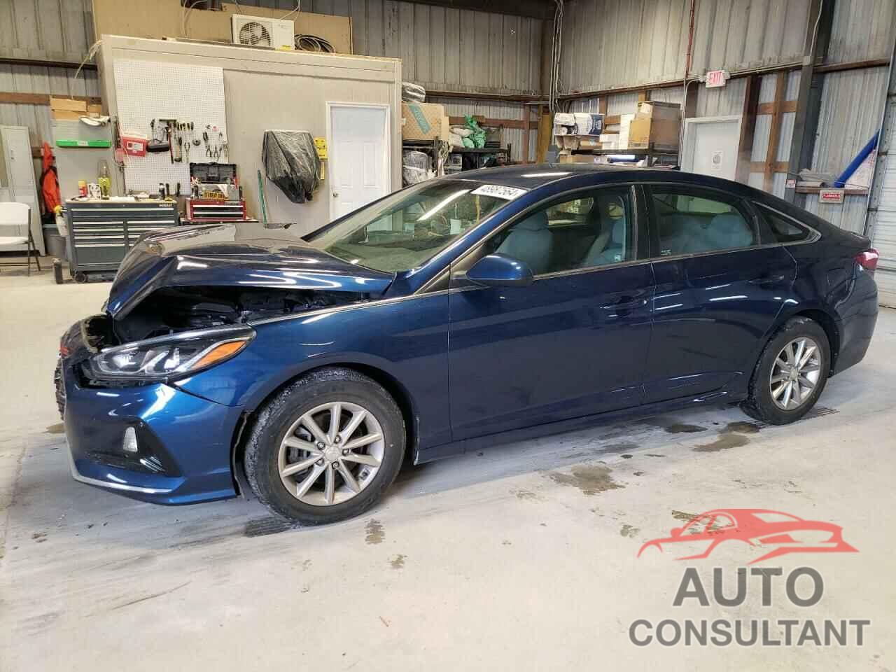 HYUNDAI SONATA 2019 - 5NPE24AF9KH730487