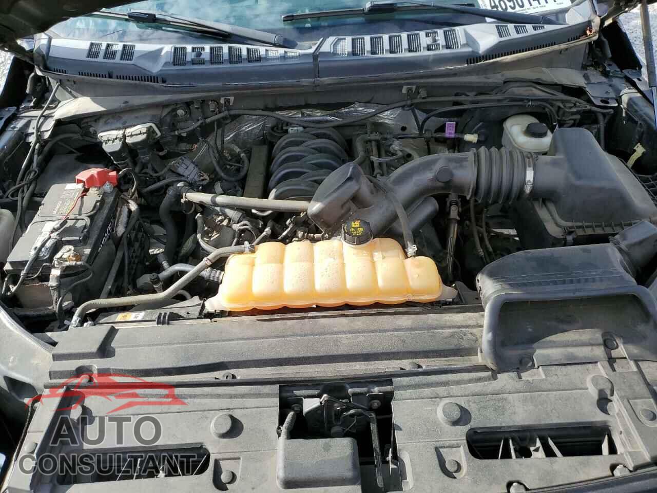 FORD F-150 2017 - 1FTEW1EF6HKD68738