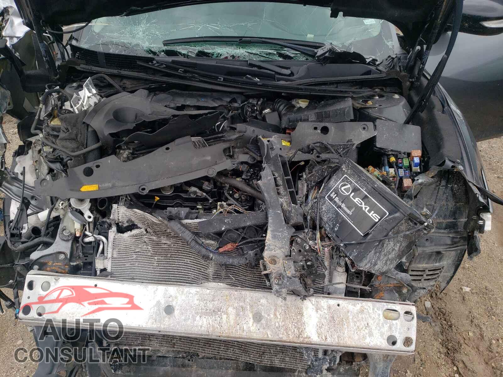 NISSAN MAXIMA 2020 - 1N4AA6CV1LC362892
