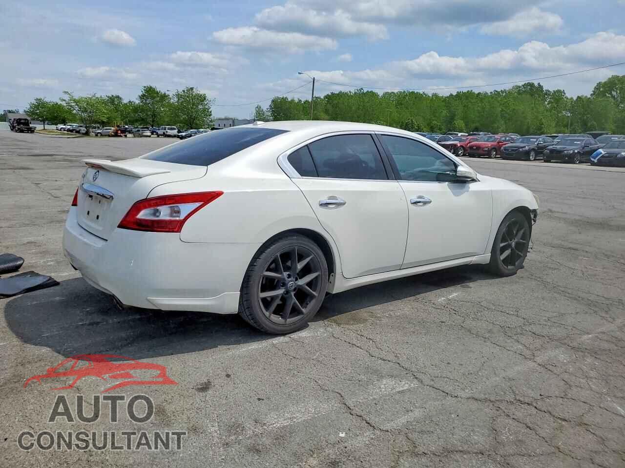 NISSAN MAXIMA 2011 - 1N4AA5APXBC863003