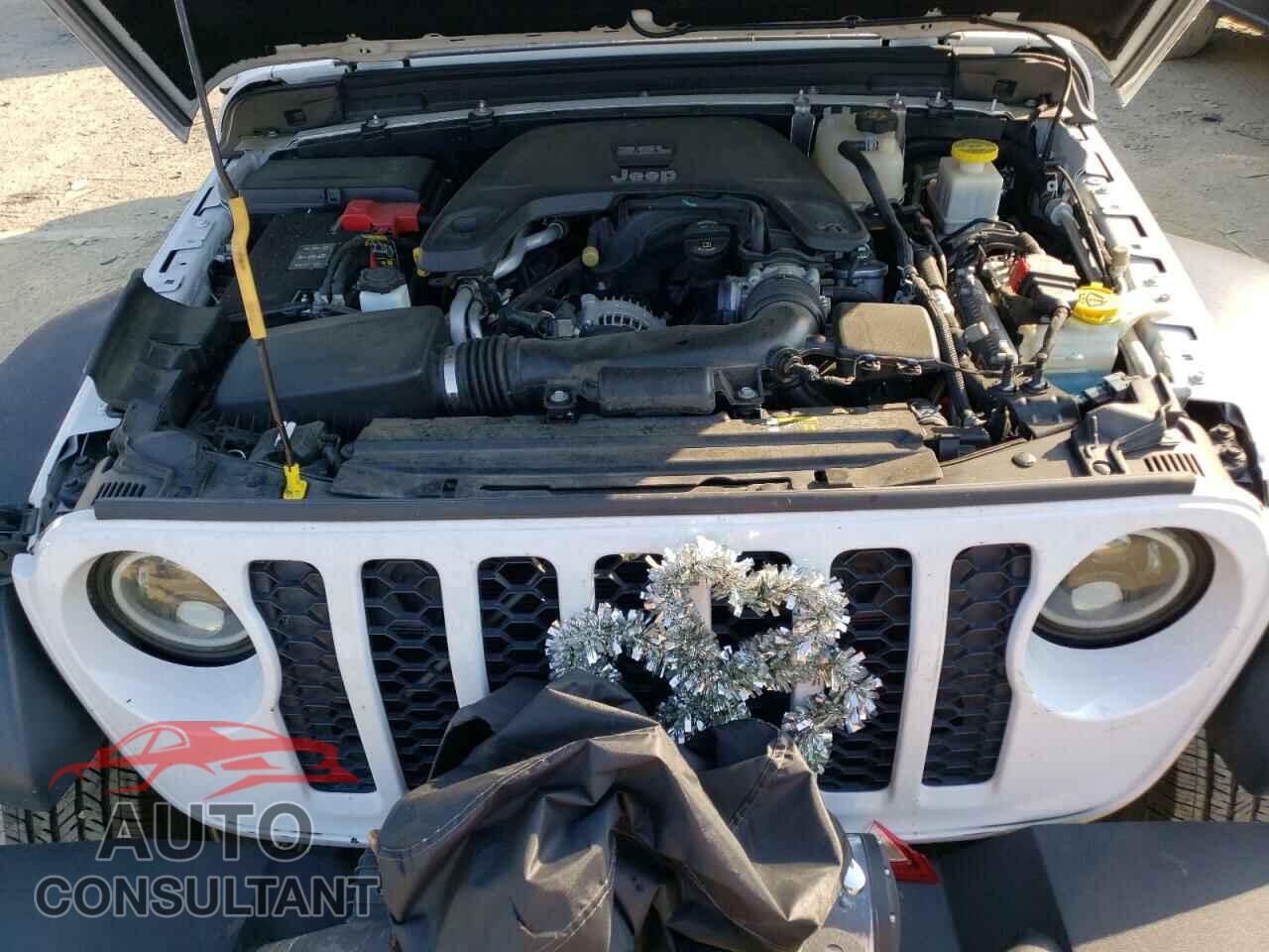 JEEP GLADIATOR 2020 - 1C6HJTAG2LL131387