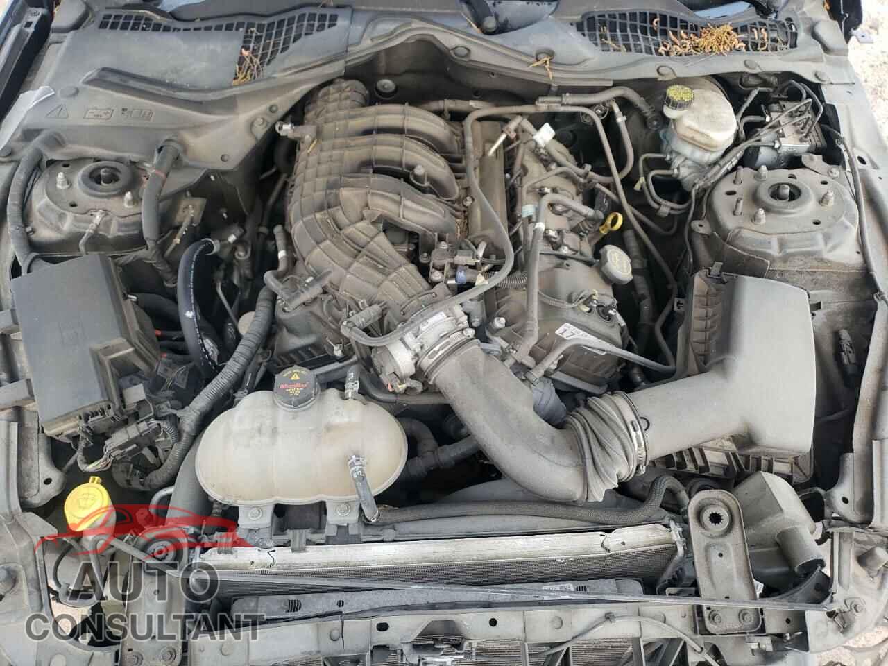 FORD MUSTANG 2017 - 1FA6P8AM2H5335951