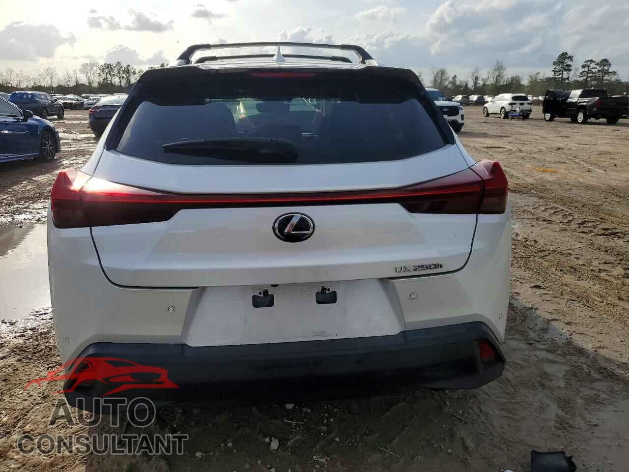 LEXUS UNKNOWN 2021 - JTHP9JBH0M2042660