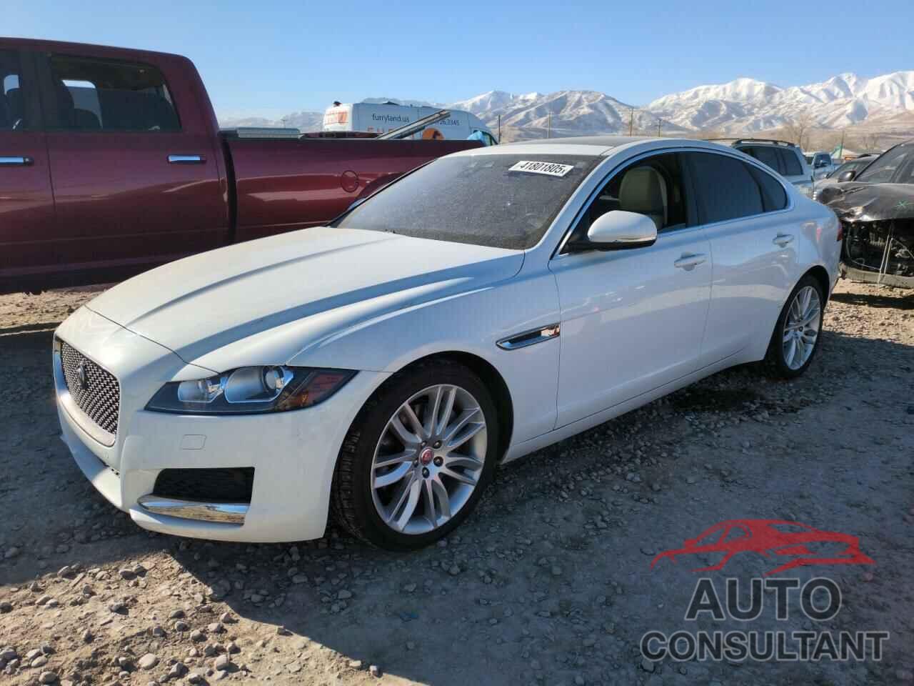 JAGUAR XF 2016 - SAJBE4BV1GCY08779