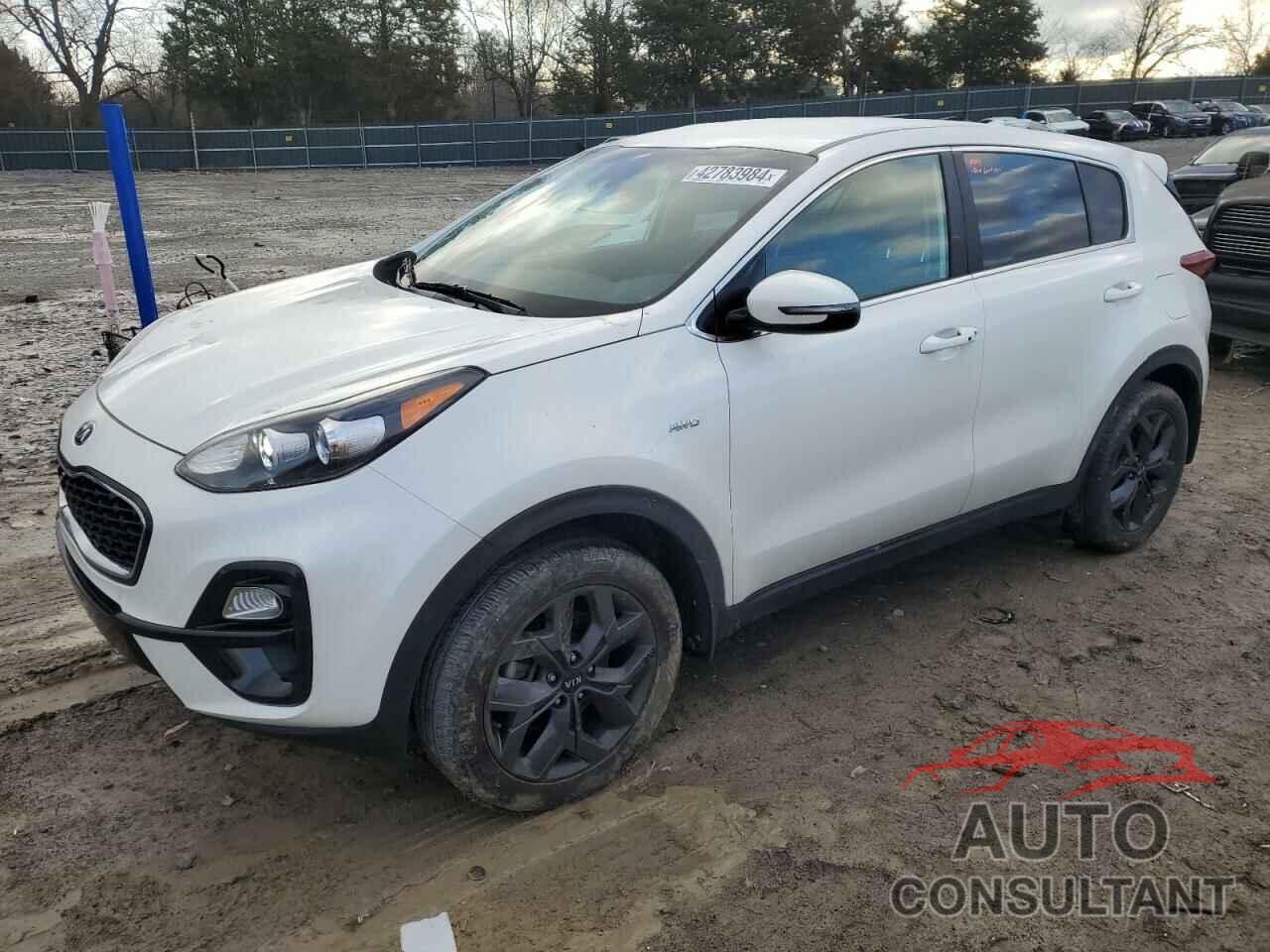 KIA SPORTAGE 2022 - KNDPMCAC4N7019727