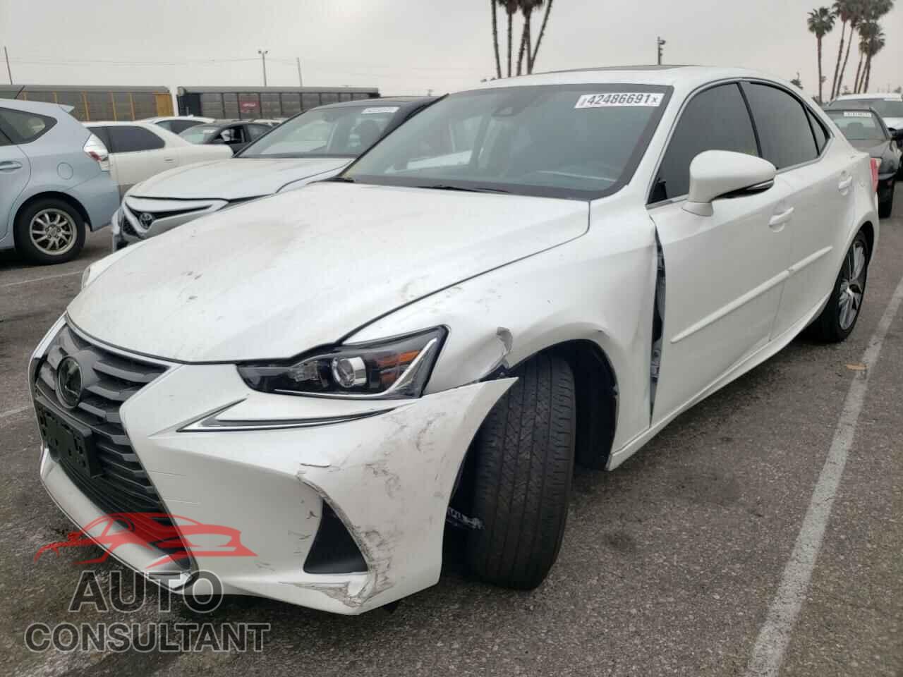 LEXUS IS 2020 - JTHAA1D29L5102485