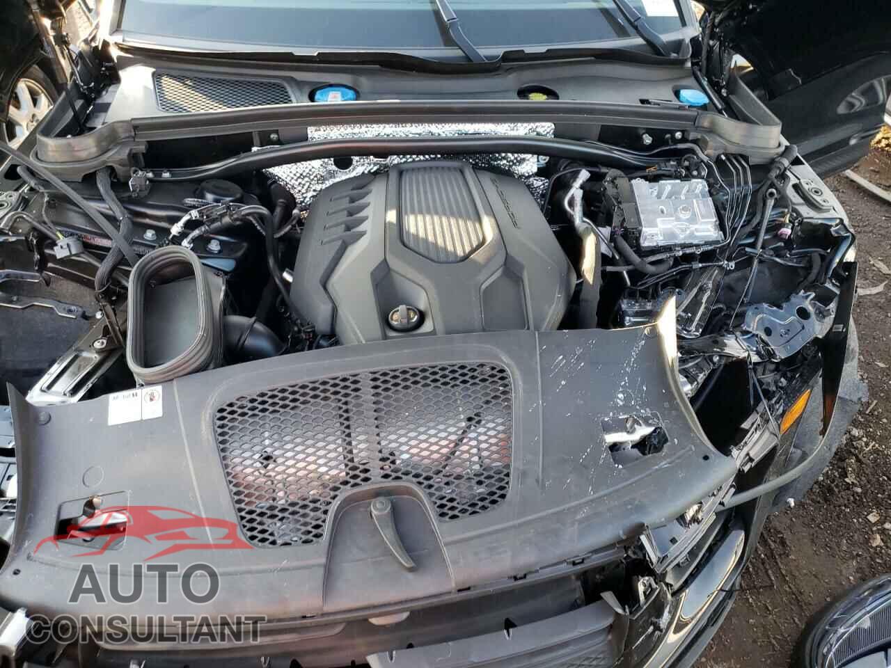 PORSCHE MACAN BASE 2024 - WP1AA2A53RLB04631