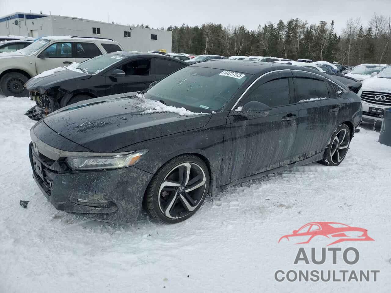 HONDA ACCORD 2019 - 1HGCV1F3XKA801474